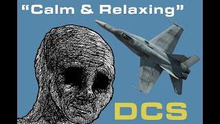 A relaxing flight in DCS