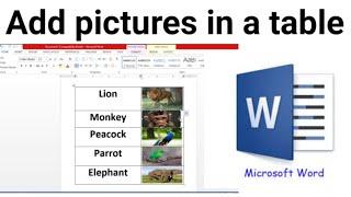 add pictures into a table in MS Word