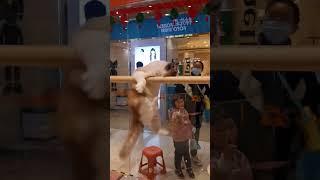 Muscle Cat in the Mall #funny #cat #mall #muscle #badboy #tiktok