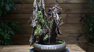 how to make mini waterfall island with driftwood