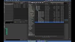 Avid tutorial: how Avid handles media