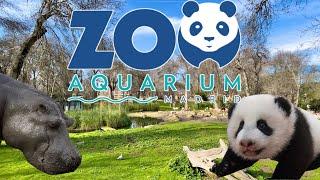 [4K] ZOO AQUARIUM DE MADRID