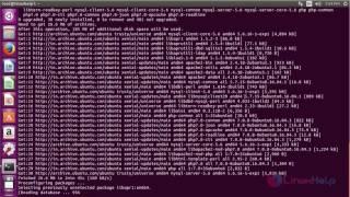 How to install and setup Cacti in Ubuntu