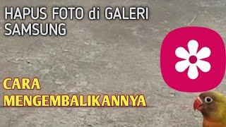 Cara Hapus Foto & Video di Galeri Hp Samsung | How to Delete Photo & Videos in Samsung Phone Gallery