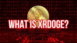 What Is XRdoge?