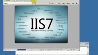 How to IIS Publishing websites and DNS Record On Windows Server 2008 R2