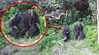 BIGFOOT MONSTER CAUGHT DRON CAMERA IN THE FOREST!!