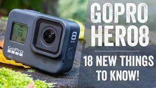 GoPro Hero 8 Black Review: 18 Things to Know