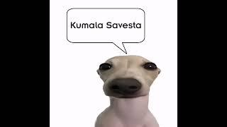 Kumalala Kumala savesta #memes #shorts #kumalala #viral