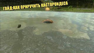 Как приручить "Кастороидеса" в Ark mobile