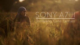 Green Gold | Sony A7III + Samyang 85mm/35mm T1.5 Cine Lens