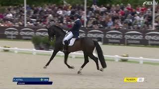 Grand Prix stallion Jovian & Patrik Kittel