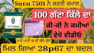 Sava 7501 ਨੇ ਕੀਤਾ ਕਮਾਲ | ਵੇਖੋ ਕੀ ਕੀ ਨੇ ਕਮੀਆਂ | ਕਿੰਨਾ ਝਾੜ ਰਿਹਾ ਮਾੜੇ ਪਾਣੀ 'ਚ