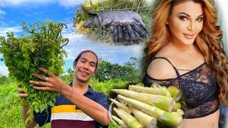 Rakhi Sawant Mam  ke Liye packing || jungle Ki sabji || and bamboo shoots
