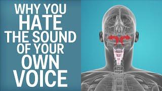 Why You Hate The Sound Of Your Own Voice