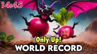 Only Up! Any% Speedrun 14:45 World Record