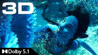 IMAX 3D Teaser • Avatar 2: The Way of Water • Dolby 5.1