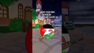 When you are israel in countryball world rp be like #roblox #contryballs #idks #memes #israel #pales