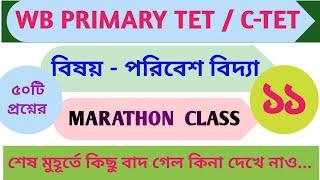 EVS TET Marathon Class | পরিবেশ বিদ্যা | Wb Primary TET Preparation 2023 || CTET