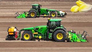 Ridging Beds and Sowing Endive / Chicory | 2x John Deere 6155R Trike Tractors | Loonbedrijf SvZ
