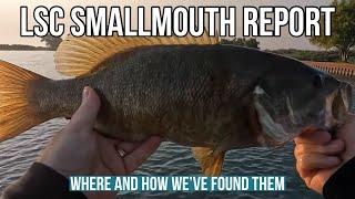 Lake St Clair Smallmouth Bass Fishing Report