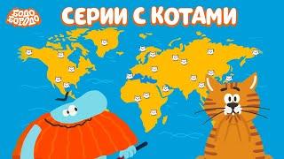  Все серии с котами - Бодо Бородо | мультфильмы для детей 0+