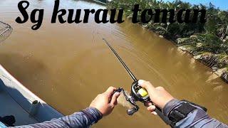 Sg kurau casting Ikan toman,top water giantsnakehead/antaresdcmd23/zodias/livre