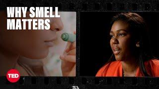 Why Smell Matters More Than You Think | Paule Joseph | TED