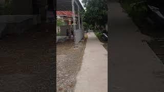 Main kejar-kejaran di depan rumah