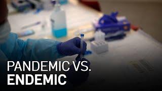 Endemic Vs. Pandemic: What's the Difference?