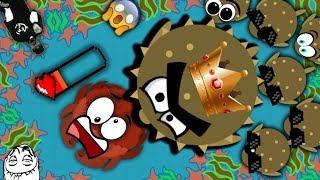 Mope.io KING PUFFER FISH DESTROYS KING CRAB | Mope.io Funniest Trolling