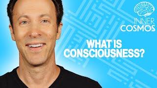 What is Consciousness? | INNER COSMOS WITH DAVID EAGLEMAN