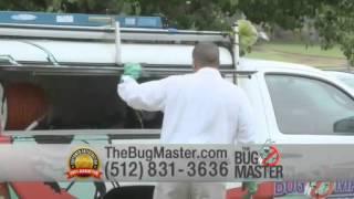 The Bug Master