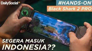 Mencicip Black Shark 2 Pro!! Smartphone GAMING Super Ganas!! | DailySocial TV