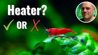 Do Red Cherry Shrimp Need A Heater?