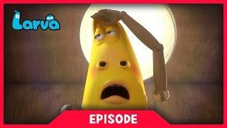 LARVA - LIMBS | 2017 Cartoon Movie | Cartoons | Comics | 라바 | LARVA Official