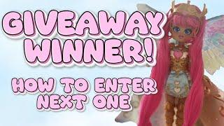 Valk Set Giveaway Winner and Next Giveaway Info