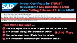 SAP: Import Certificate by STRUST to Overcome SSL Error when Calling External API from ABAP