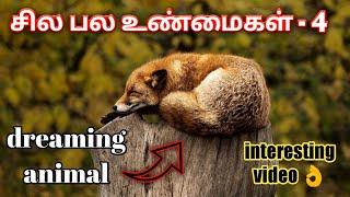 சில பல உண்மைகள் - 4  | Sila pala unmaigal - 4 | Triple Five | tamil