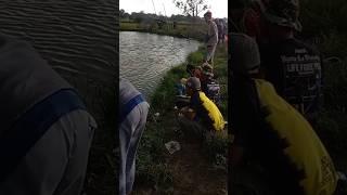 Strike uyy #shorts #mancing #mancingikan #viralvideo #viralshorts #shortvideo #vlogvideo #video#fish