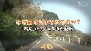 【錯覚の謎】なぜ脳はだまされるのか？「錯覚」から見える脳の戦略 | ガリレオX 第51回