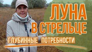 Луна в Стрельце