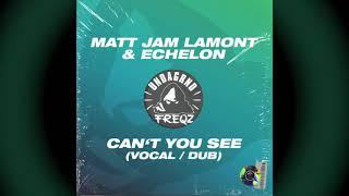 Matt Jam Lamont & Echelon - Can't You See (Dub) [Undagrnd Freqz)