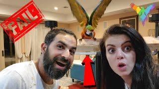 WORLD'S BIGGEST DIY PARROT STAND FAIL  | MARLENE MC'COHEN