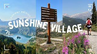 Sunshine Village in Summer // Let's visit the must-see Sunshine Meadows in Banff National Park 