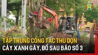 Tập trung công tác thu dọn cây xanh gãy, đổ sau bão số 3 | Tin tức