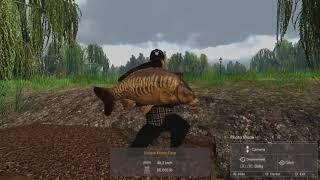 Fishing Planet - Weeping Willow Carp Guide - 2024