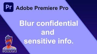 How to blur sensitive information in video premiere pro