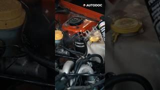 How universal cleaner works | AUTODOC #shorts