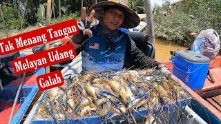 TERJUMPA LUBUK PENUH UDANG | MANCING UDANG GALAH #mancingudang #prawnfishing